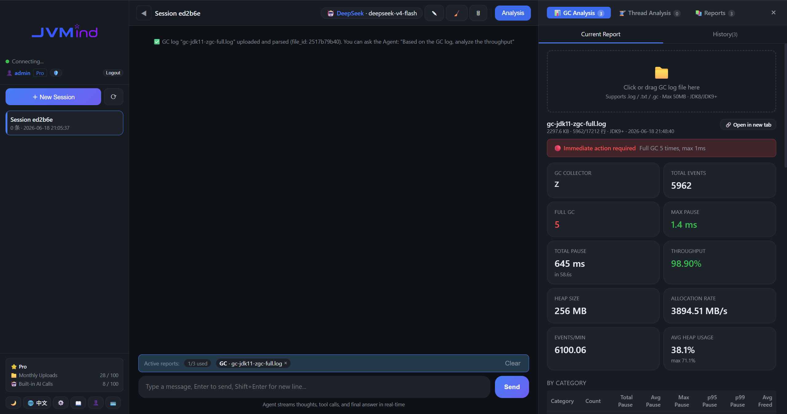 Main Chat Interface