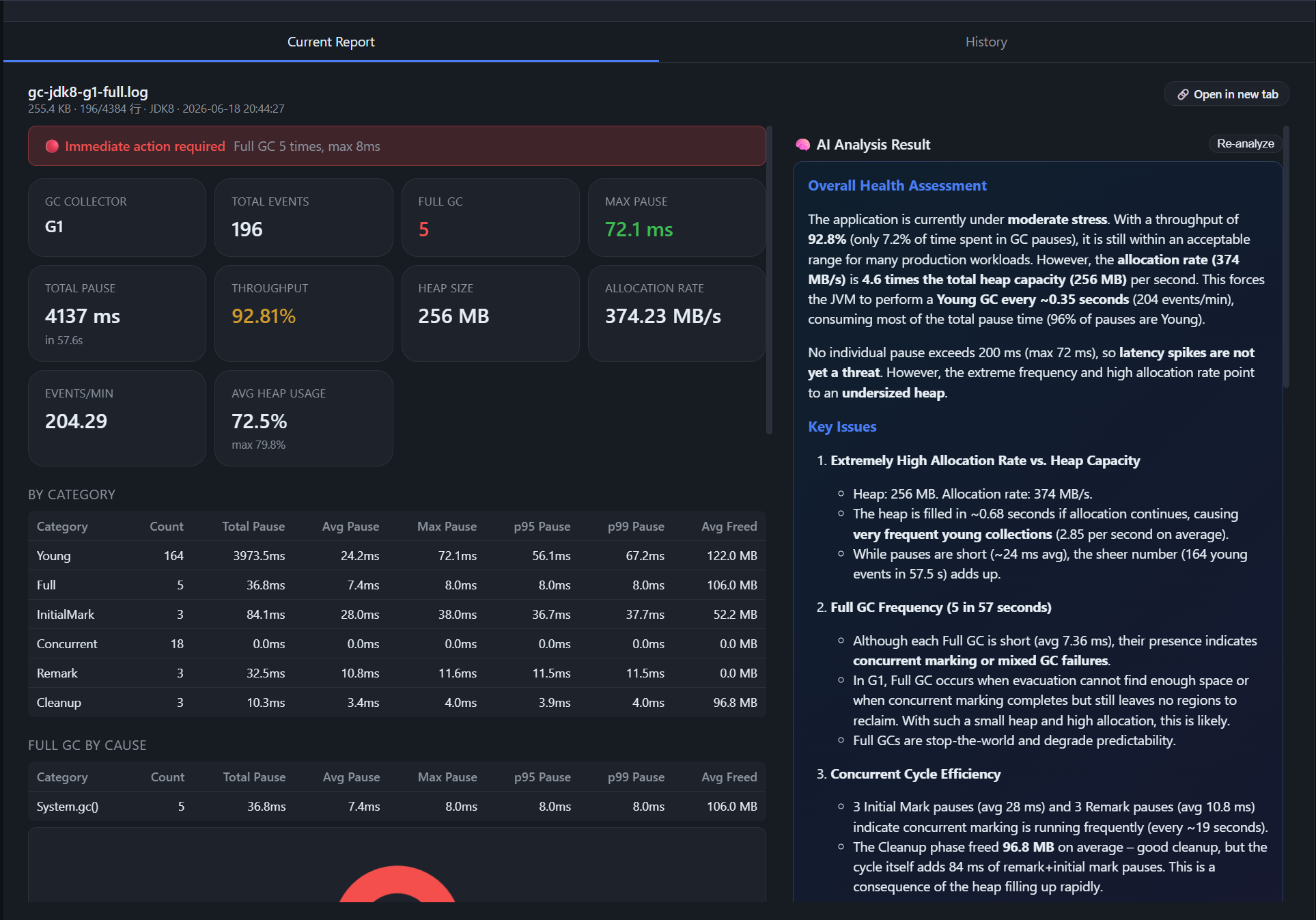 GC Analysis Result